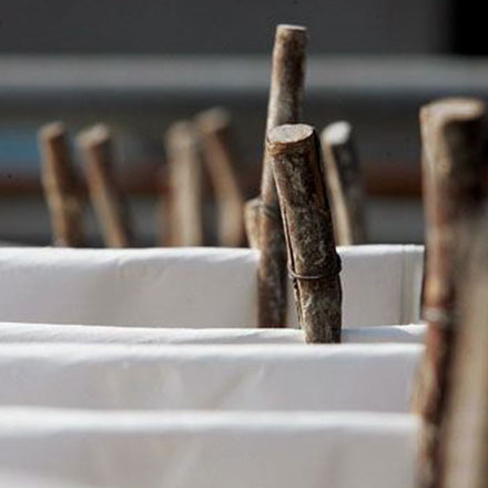 德系車都有哪些品牌vi設計公司案例作品