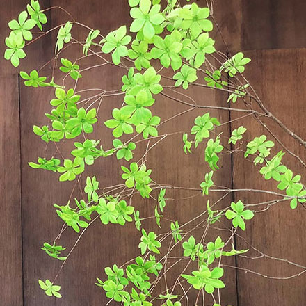 公司能源vi設計找哪家公司