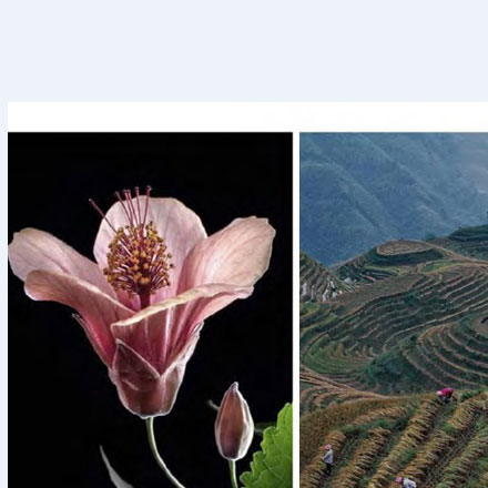 建材vi設計作品案例展示