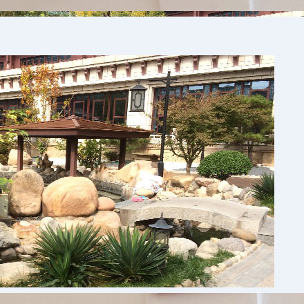 VI公司作品案例展示