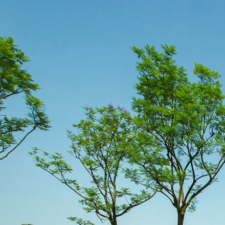 VI公司作品案例展示