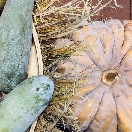 深圳物流品牌包裝設(shè)計(jì)：獨(dú)特創(chuàng)意，彰顯專(zhuān)業(yè)與品質(zhì)